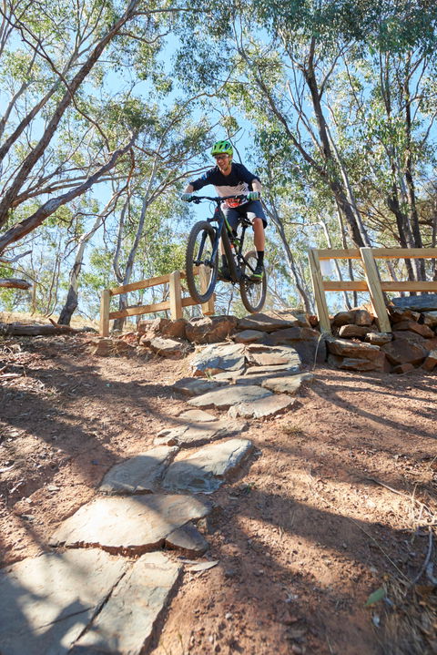 Kidsons Cycles - Maitland Accommodation 1