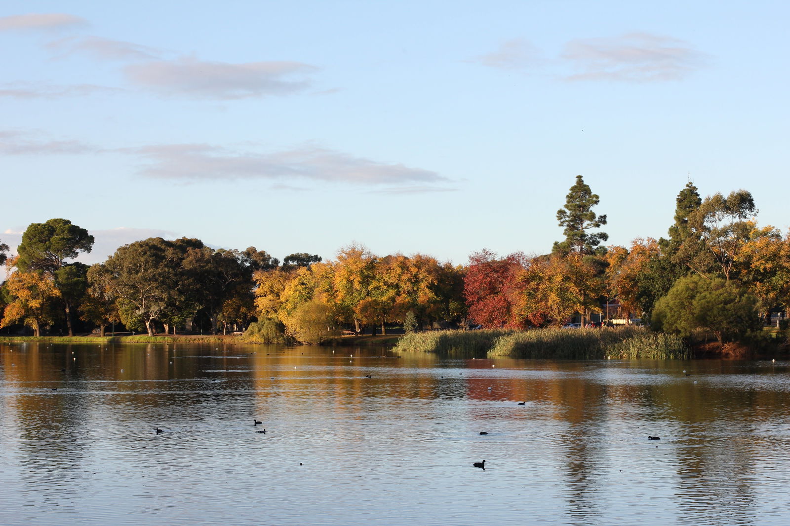  Maitland Accommodation