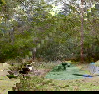 Long Gully picnic area - Maitland Accommodation