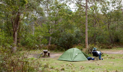 Long Gully Picnic Area - Maitland Accommodation 0