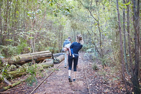Lyrebird Circuit Walk - Maitland Accommodation 1