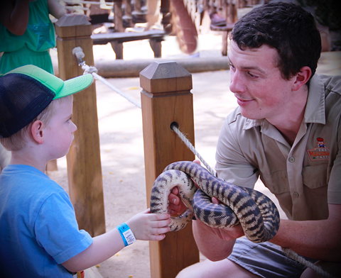 Macadamia Castle - Maitland Accommodation 1