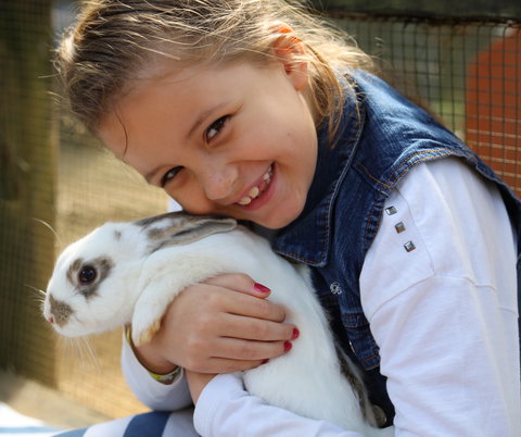 Macadamia Castle - Maitland Accommodation 2