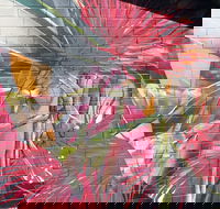 Mokoan Rest Stop Northbound - Maitland Accommodation