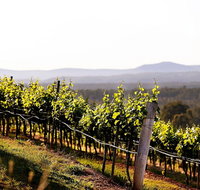 Mount View - Maitland Accommodation