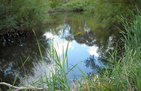 Mullion Range State Conservation Area - Maitland Accommodation 0
