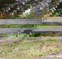 Nimmitabel Heritage Walk - Maitland Accommodation