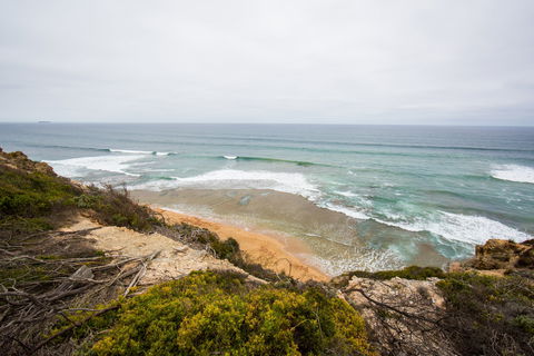 Ocean Grove Main Beach - Maitland Accommodation 1