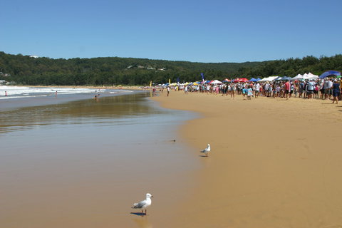 Ocean Beach Umina - Maitland Accommodation 0