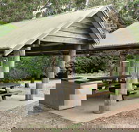 Pebbly Beach Picnic Area - Maitland Accommodation