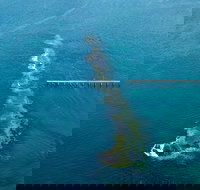 Port Noarlunga Reef Sanctuary Zone - Encounter Marine Park - Maitland Accommodation