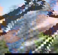 Queens Gardens - Maitland Accommodation