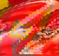 Raging Waters Sydney - Maitland Accommodation