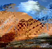 Red Banks Conservation Park - Maitland Accommodation