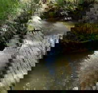 Second Ponds Creek Walk - Maitland Accommodation