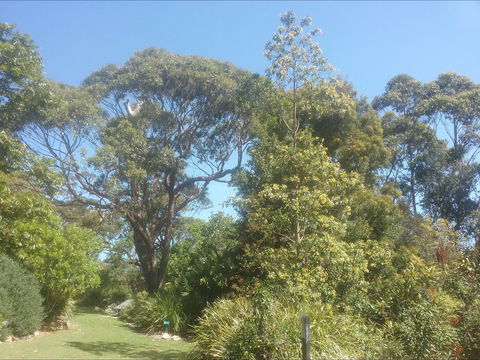 Shoalhaven Heads Native Botanic Garden - Maitland Accommodation 1