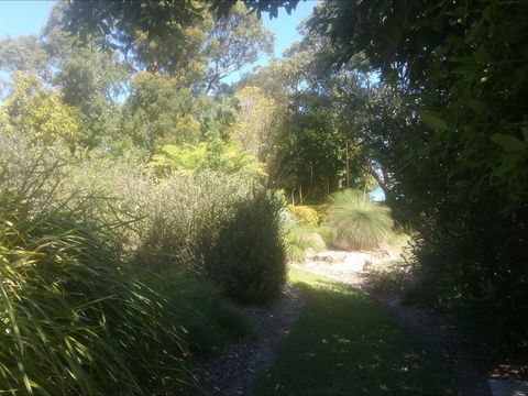 Shoalhaven Heads Native Botanic Garden - Maitland Accommodation 2