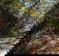 Starlights Trail - Maitland Accommodation