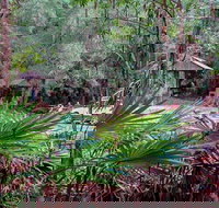 Sugar Creek Picnic Area - Maitland Accommodation