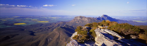 Sukey Hill Lookout - Maitland Accommodation 0