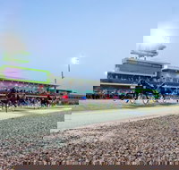 Tabcorp Park - Maitland Accommodation