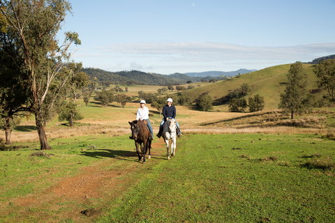 Tamworth And Kootingal Horse Riding Adventures - Maitland Accommodation 0