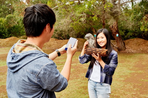 Taranna - Maitland Accommodation 0