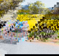 The Heron's Highway - Avon River Cycle Trail - Maitland Accommodation