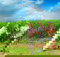 The Shed Gallery - Maitland Accommodation