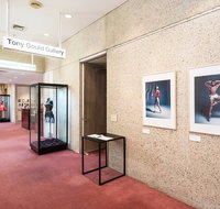 Tony Gould Gallery - Maitland Accommodation