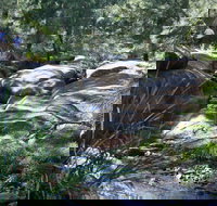 Towarri National Park - Maitland Accommodation