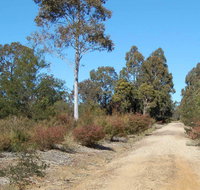 Werakata National Park - Maitland Accommodation