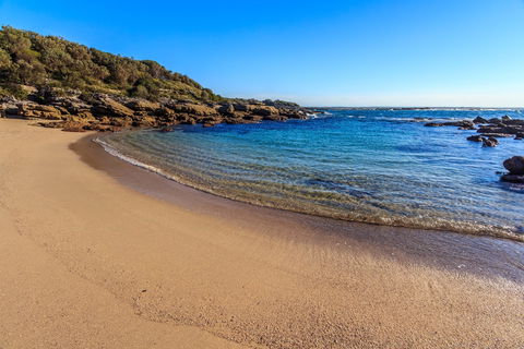 Wilsons Beach - Maitland Accommodation 0