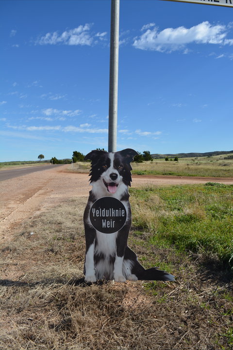 Yeldulknie Weir & Reservoir - Maitland Accommodation 0