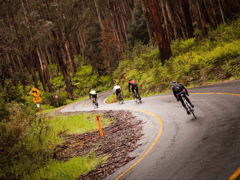 7 Peaks Ride - Lake Mountain - Maitland Accommodation 1