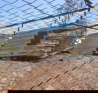 Aboriginal Carvings - Maitland Accommodation