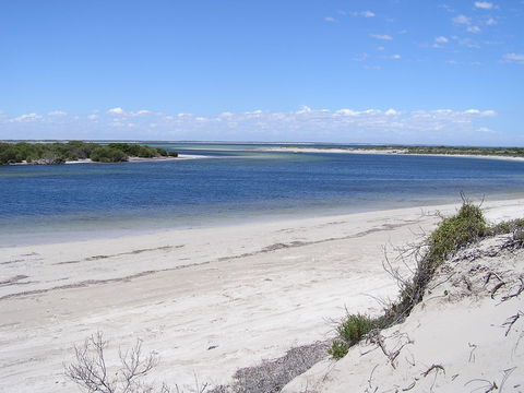 Acraman Creek Conservation Park - Maitland Accommodation 0