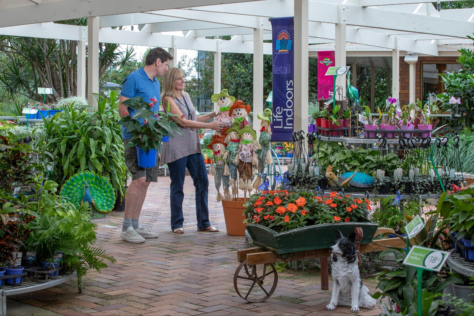 Adare QLD Maitland Accommodation