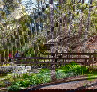 Armadale - Maitland Accommodation