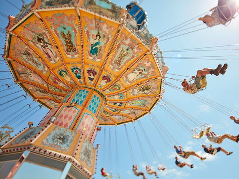 Aussie World - Maitland Accommodation 0