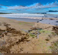 Avenue Beach - Maitland Accommodation