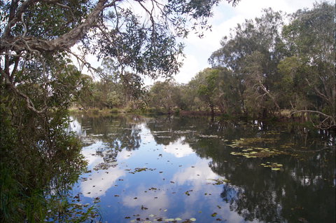 Baldwin Swamp Environmental Park - Maitland Accommodation 2