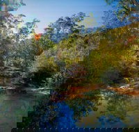Bargo State Conservation Area - Maitland Accommodation