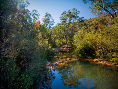 Bargo State Conservation Area - Maitland Accommodation 0