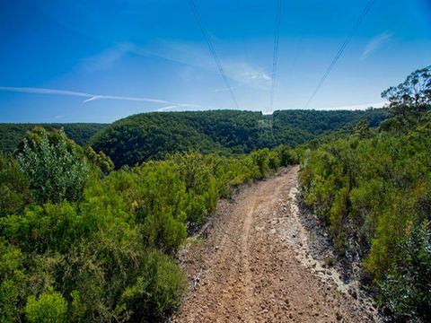 Bargo State Conservation Area - Maitland Accommodation 1