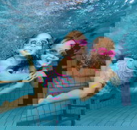 Blacktown Aquatic Centre - Maitland Accommodation