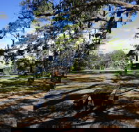 Bowen Mountain Park - Maitland Accommodation