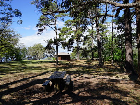 Bowen Mountain Park - Maitland Accommodation 0