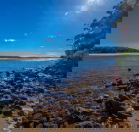 Buckleys Beach - Maitland Accommodation