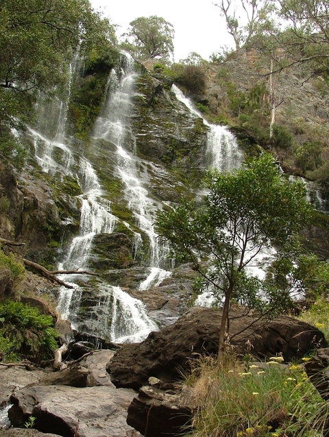 Buddong Falls Walking Track - Maitland Accommodation 0